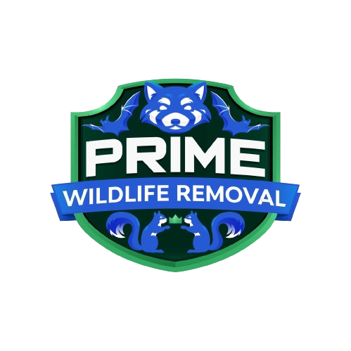 Wildlife Removal Northfield